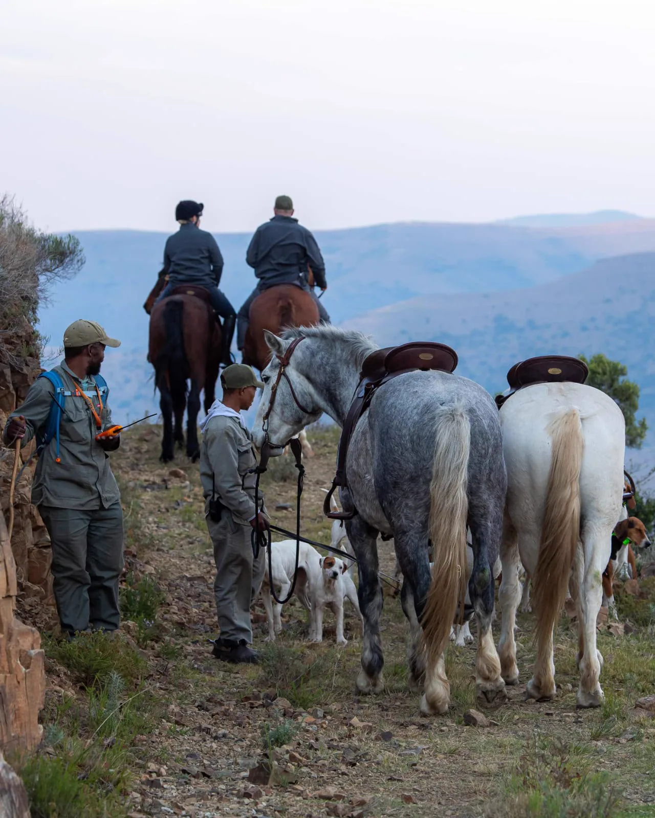 Horses and riders in the working mountain landscape